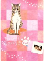 【中古】 やっぱり猫が好き　Vol．1～6ボックスセット／もたいまさこ,室井滋,小林聡美