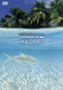 【中古】 virtual　trip　MALDIVES／（BGV）