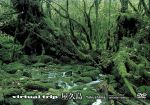 （BGV）販売会社/発売会社：（株）ポニーキャニオン(（株）ポニーキャニオン)発売年月日：2003/04/16JAN：4988013480803手つかずの自然が残る屋久島の魅力をたっぷりとお届けするヒーリングDVD。生命力あふれる屋久杉、四季折々の美しさを放つ大自然など、2年間にわたって撮影されただけに見応えたっぷり。