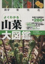 【中古】 山菜大図鑑／今井國勝(著