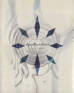 【中古】 ラグーンエンジンアインザッツ（特装版）／杉崎ゆきる(著者)