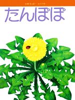 【中古】 たんぽぽ フレーベルの科学えほん27／フレーベル館のサムネイル