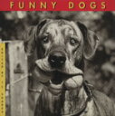 【中古】 FUNNY　DOGS／J．C．スウェアーズ(著者)