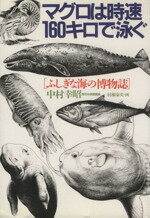 【中古】 マグロは時速160キロで泳ぐ ふしぎな海の博物誌／中村幸昭(著者)