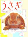 【中古】 うさぎ/森田米雄【写真】