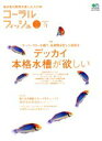 【中古】 コーラルフィッシュVol.11/趣味・就職ガイド・資格