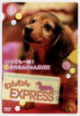 【中古】 わんわんEXPRESS/(趣味/教養)