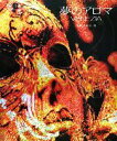 【中古】 夢のアロマVENEZIA/新美直【撮影】