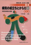 【中古】 普及版　図説・病気の成立ちとからだ　2／中野昭一(著者)