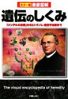 【中古】 カラー版徹底図解　遺伝のしくみ 「メンデルの法則」からヒトゲノム・遺伝子治療まで／経塚淳子【監修】