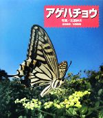 【中古】 アゲハチョウ／日高敏隆【総合監修】，北添伸夫【写真】のサムネイル