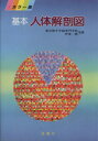 【中古】 基本 人体解剖図/伊東一郎(著者)