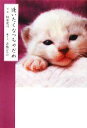 【中古】 逢いたくなっちゃだめ SB文庫NF/板東寛司【写真】,青嶋ひろの【選・文】