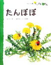 【中古】 たんぽぽ フレーベル館だいすきしぜんしょくぶつ1／小川潔【指導】，瀬戸照【絵】，久保秀一【写真】