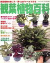 【中古】 観葉植物百科/ブティック社