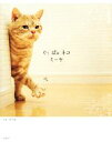 【中古】 ぐぅぱぁネコ ミーヤ/関由香【写真】