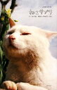 【中古】 ねこサプリ 人によく効くNEKO‐PHOTO150/LOVE CAT 55【著】