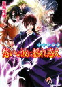 【中古】 少年陰陽師 愁いの波に揺れ惑え 角川ビーンズ文庫／結城光流【著】