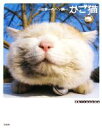 【中古】 かご猫 日本一のヘン顔/Shironeko【著】