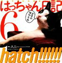 【中古】 hatch!!!!!!はっちゃん日記(6)/八二一【写真】