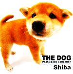 【中古】 Shiba THE DOG Photo Book Collection／artlist INTERNATIONL【著】