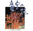 【中古】 竜宮の詩 1/谷口光利(著者)