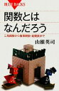 【中古】 関数とはなんだろう 三角関数から複素関数 超関数まで ブルーバックス／山根英司【著】