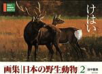 田中豊美(著者)販売会社/発売会社：新日本出版社発売年月日：1990/03/01JAN：9784406018197