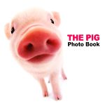 【中古】 THE PIG Photo Book／artlist INTERNATIONAL【著】