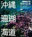 【中古】 沖縄珊瑚海道 アスペクトライトボックス・シリーズ/中村征夫【著】