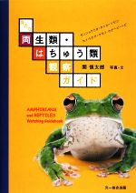 【中古】 身近な両生類・はちゅう類観察ガイド／関慎太郎【写真・文】