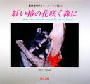 【中古】 加藤芳明フォト・エッセイ集(13) 紅い椿の花咲く森に／加藤芳明【著】