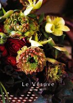 【中古】 Le　V´esuve　Diary(2009)／エレファス