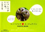 【中古】 いっしょがいいね。／間山公雅【写真】