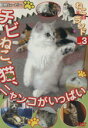 【中古】 DVD ねこざランド チビねこ、猫、ニャンコがいっぱい(vol.3)/趣味・就職ガイド・資格(その他)