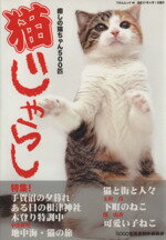 【中古】 猫じゃらし／趣味・就職ガイド・資格