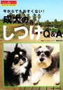 【中古】 今からでもおそくない！成犬のしつけQ＆A うるおい生活シリーズ／渡部真也【監修】