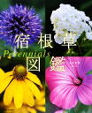 【中古】 宿根草図鑑 Perennials/山本規詔【著】
