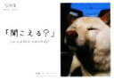 【中古】 写真集「聞こえる?」/DJアーチ【写真・文】