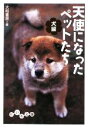 【中古】 天使になったペットたち 犬編 だいわ文庫/大和書房【編】