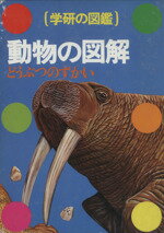 【中古】 動物の図解 学研の図鑑／今泉吉晴(著者)のサムネイル