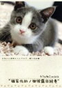 【中古】 猫家佐助ノ御披露目絵巻/(趣味/教養)