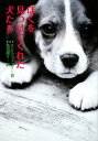 【中古】 ぼくを見つけてくれた犬たち/ケンフォスター【著】,渋谷節子【訳】