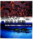 【中古】 ビジュアル版 動物たちの地球大移動 空と海と大地をめぐる神秘のライフ サイクル／ベンホアー【著】，別宮貞徳【監訳】