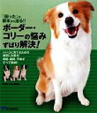 【中古】 ボーダー・コリーの悩みずばり解決! 『困った』が根本から治る!!いいコに育てるための疑問にお答え!問題、疑問、不安がすべて解消!!/DOG FAN編集...