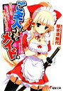 【中古】 ご主人さん&メイドさま(1) 父さん母さん、ウチのメイドは頭が高いと怒ります 電撃文庫/榎木津無代【著】