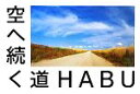【中古】 空へ続く道/HABU【著】