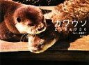 【中古】 カワウソ /佐藤淳一【写真・文】 【中古】afb