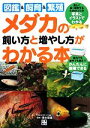 青木崇浩【監修】販売会社/発売会社：日東書院本社発売年月日：2010/04/27JAN：9784528017245