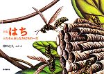 【中古】 新版　はち ふたもんあしながばちの一生 こんちゅうの一生シリーズ／得田之久【文・絵】